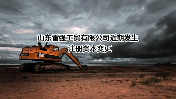 山东雷强工贸有限公司