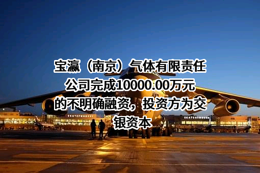 宝瀛（南京）气体有限责任公司