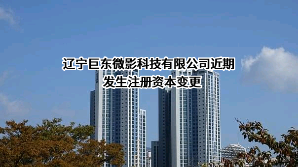 辽宁巨东微影科技有限公司