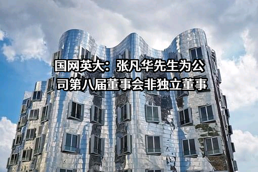 国网英大股份有限公司