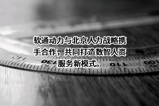 北京国际人力资本集团股份有限公司