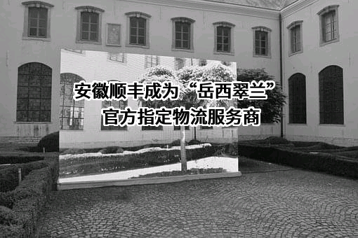 安徽顺丰速运有限公司