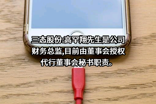 深圳市三态电子商务股份有限公司