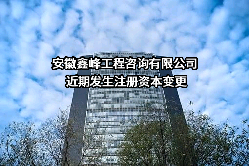 安徽鑫峰工程咨询有限公司