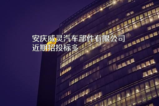 安庆威灵汽车部件有限公司