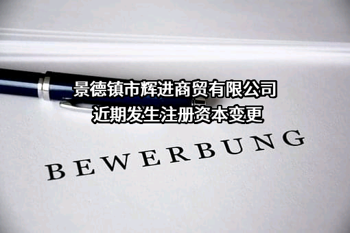 景德镇市辉进商贸有限公司
