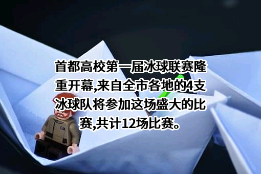 北京市冰球运动协会