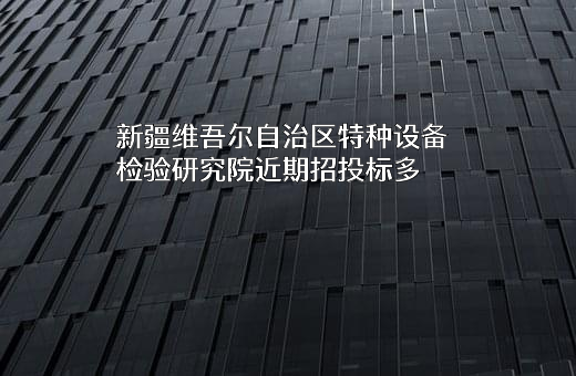 新疆维吾尔自治区特种设备检验研究院