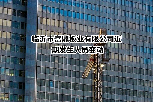 临沂市富鼎板业有限公司
