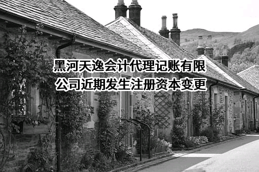 黑河天逸会计代理记账有限公司