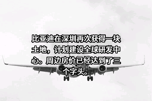 深圳比亚迪实业有限公司
