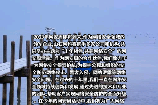 山石网科通信技术股份有限公司