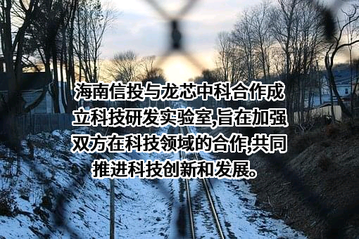 海南省信投启明科技有限公司