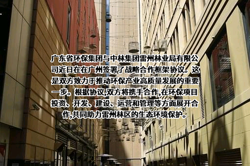 中林集团雷州林业局有限公司