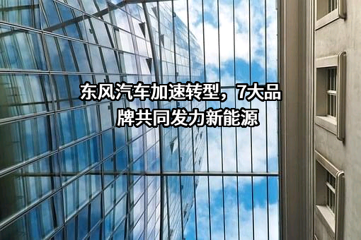 东风汽车股份有限公司