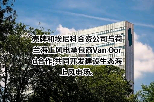 壳牌（中国）有限公司