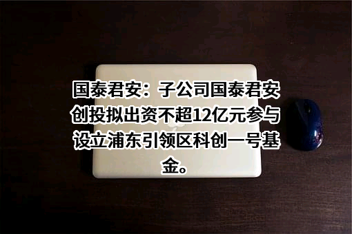 国泰君安证券股份有限公司