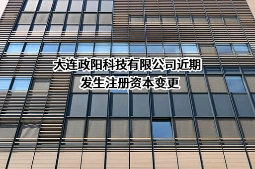 大连政阳科技有限公司