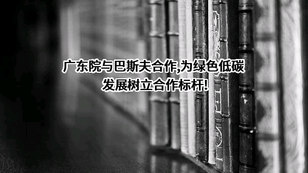 巴斯夫（中国）有限公司