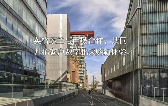 西域智慧供应链（上海）股份公司