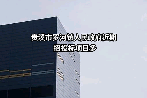 贵溪市罗河镇人民政府近期招投标项目多