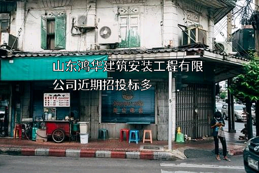 山东鸿华建筑安装工程有限公司