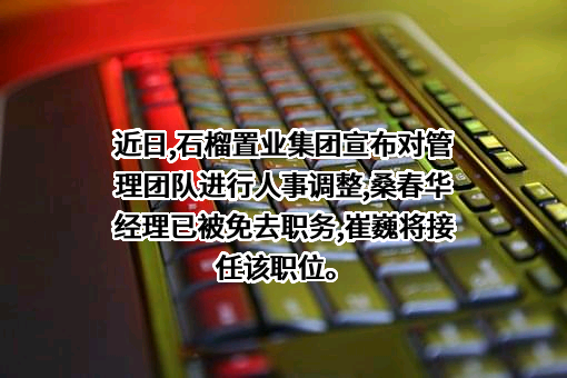 石榴置业集团有限公司
