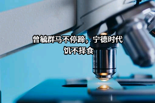 宁德时代新能源科技股份有限公司