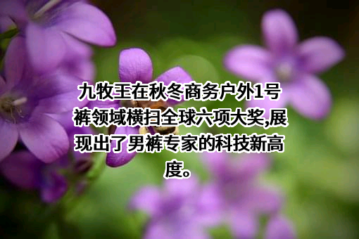 九牧王股份有限公司