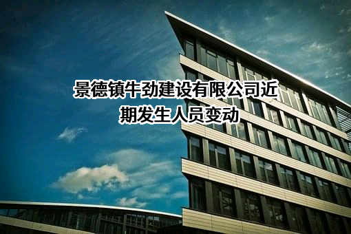 景德镇牛劲建设有限公司