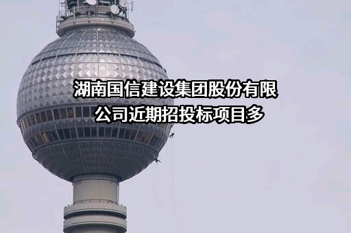 湖南国信建设集团股份有限公司