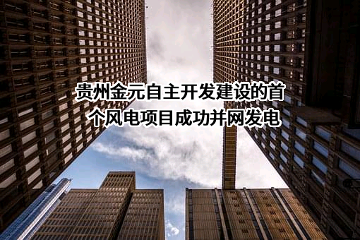 贵州金元智慧能源有限公司