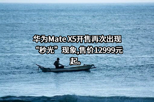 华为技术有限公司