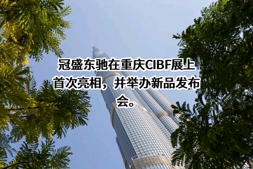 吉林省东驰新能源科技有限公司