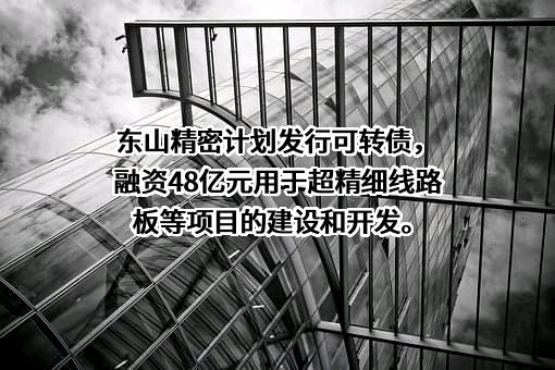 苏州东山精密制造股份有限公司