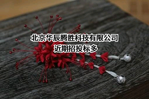 北京华辰腾胜科技有限公司