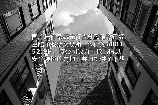 湖南麒麟信安科技股份有限公司