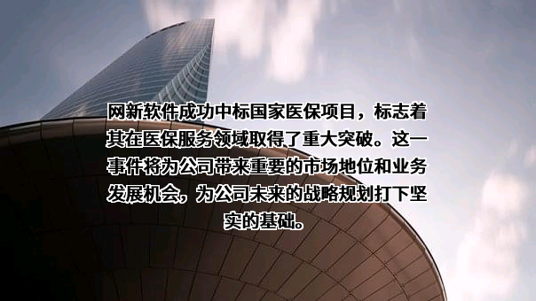 网新（天津）软件有限公司