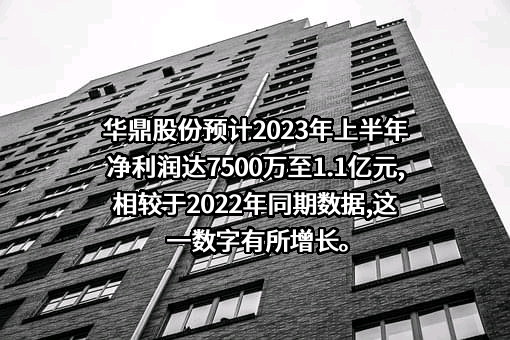 义乌华鼎锦纶股份有限公司