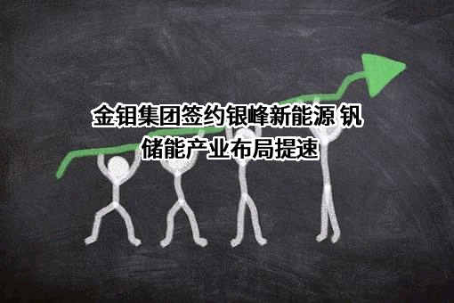 湖南省银峰新能源有限公司