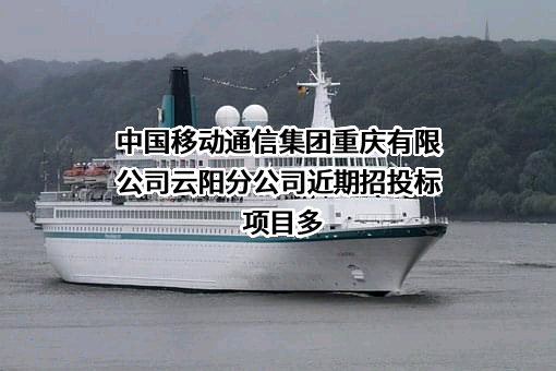 中国移动通信集团重庆有限公司云阳分公司