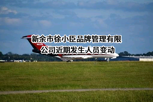 新余市徐小臣品牌管理有限公司