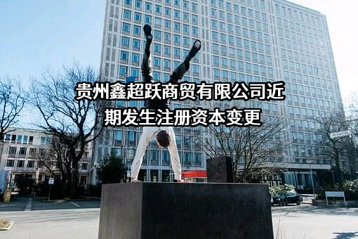 贵州鑫超跃商贸有限公司