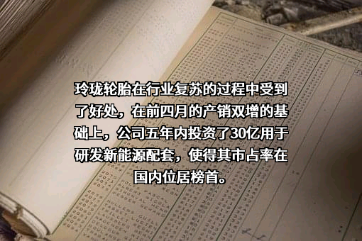 玲珑轮胎有限公司