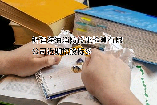 新疆海纳消防设施检测有限公司