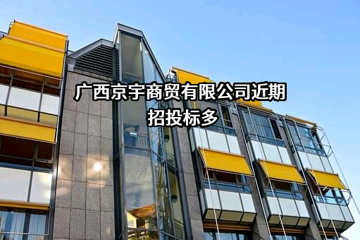 广西京宇商贸有限公司