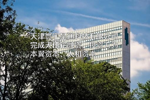 天津寰宇星通科技有限公司