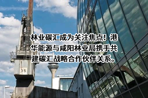 港华（深圳）碳资产运营有限公司