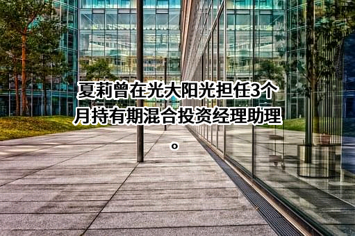上海光大证券资产管理有限公司