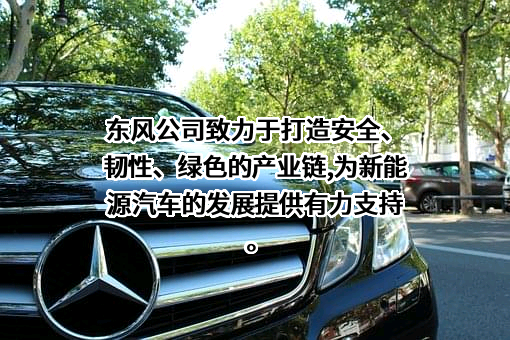 深圳东风汽车有限公司